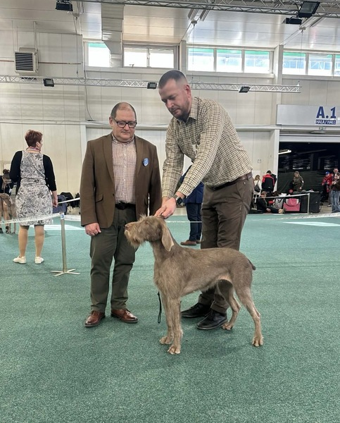 vystava-psov-stavac-slovensko1